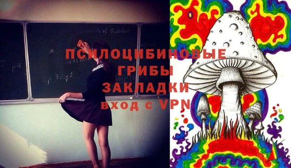 apvp Осинники