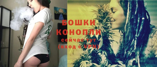 apvp Осинники