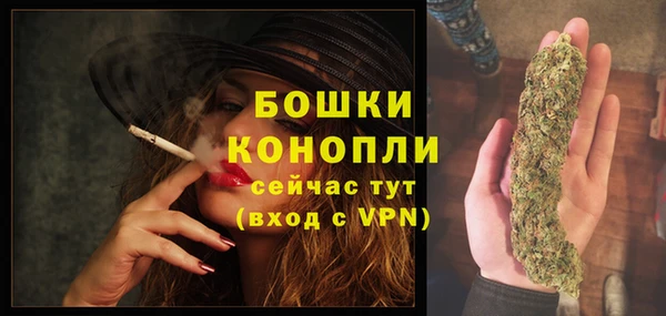 apvp Осинники