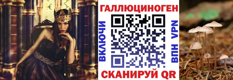 Псилоцибиновые грибы GOLDEN TEACHER  где продают наркотики  Игарка 
